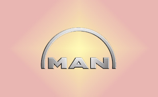 ✓ MAN N2.98180.0122 Запчасти МАН (MAN) 